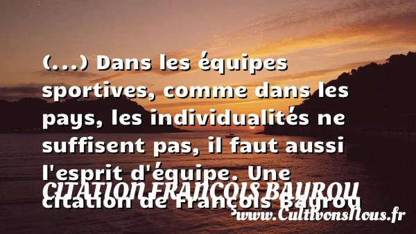 (…) Dans les équipes sportives, comme dans les pays, les - Citation François Bayrou