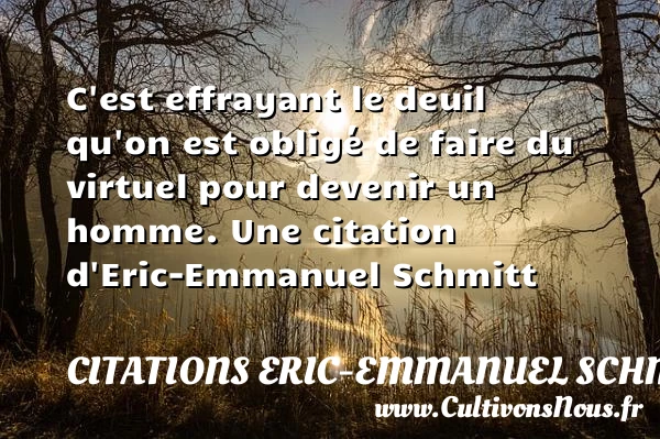 C’est effrayant le deuil qu’on est obligé de faire du virtuel - Citations Eric-Emmanuel Schmitt