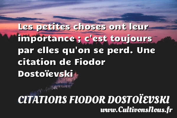 Les petites choses ont leur importance ; c’est toujours par elles qu’on - Citations Fiodor Dostoïevski