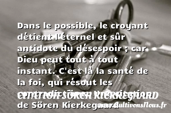 Dans le possible, le croyant détient l’éternel et sûr antidote du désespoir ; car - Citation Sören Kierkegaard