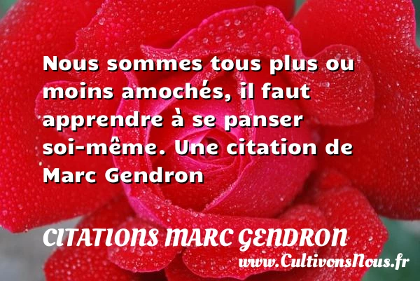 Nous sommes tous plus ou moins amochés, il faut apprendre - Citations Marc Gendron