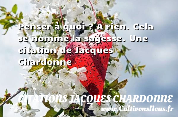 Penser à quoi ? A rien. Cela se nomme la - Citations Jacques Chardonne
