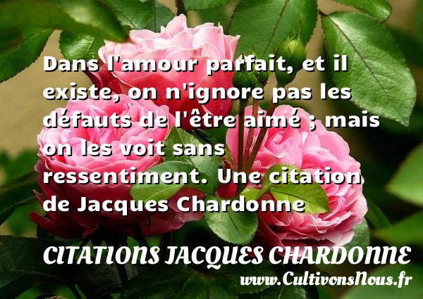 Dans l’amour parfait, et il existe, on n’ignore - Citations Jacques Chardonne