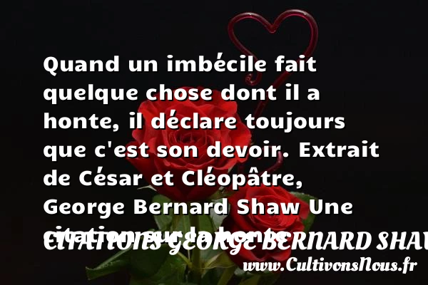 Quand un imbécile fait quelque - Citations George Bernard Shaw - Citation honte