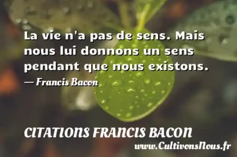 La vie n a pas de sens. Mais nous lui donnons un sens pendant que nous existons. - Francis Bacon CITATIONS FRANCIS BACON