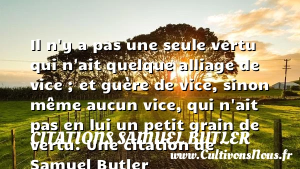 Il n’y a pas une seule vertu qui n’ait quelque alliage de vice ; - Citations Samuel Butler