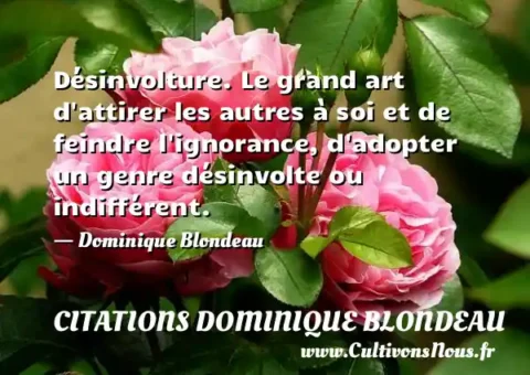 Désinvolture. Le grand art d attirer les autres à soi et de feindre l ignorance, d adopter un genre désinvolte ou indifférent. - Dominique Blondeau CITATIONS DOMINIQUE BLONDEAU