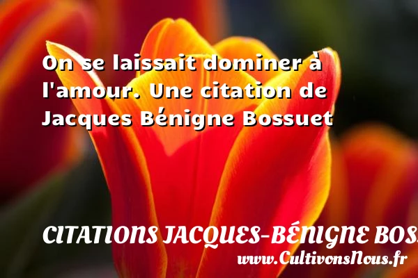 On se laissait dominer à l’amour. - Citations Jacques-Bénigne Bossuet