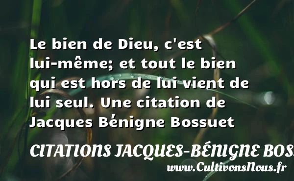 Le bien de Dieu, c’est lui-même; et tout le bien qui est - Citations Jacques-Bénigne Bossuet