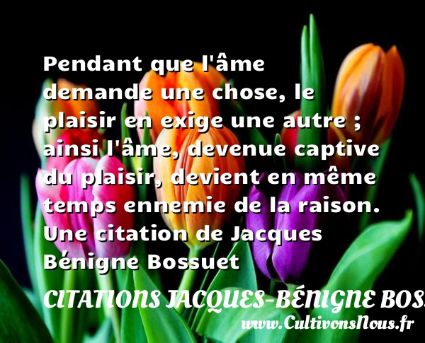 Pendant que l’âme demande une chose, le plaisir en - Citations Jacques-Bénigne Bossuet