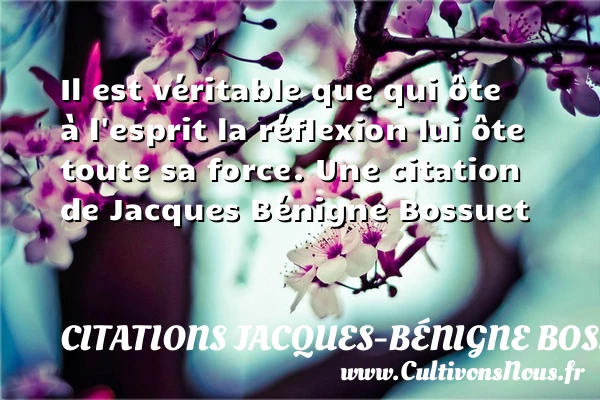 Il est véritable que qui ôte à l’esprit la - Citations Jacques-Bénigne Bossuet