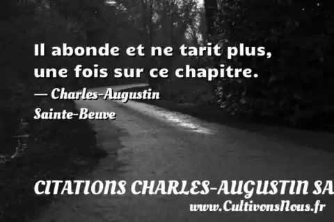 Il abonde et ne tarit plus, une fois sur ce chapitre. - Charles-Augustin Sainte-Beuve CITATIONS CHARLES-AUGUSTIN SAINTE-BEUVE