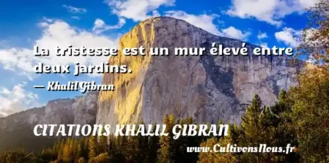 La tristesse est un mur élevé entre deux jardins. - Khalil Gibran CITATIONS KHALIL GIBRAN