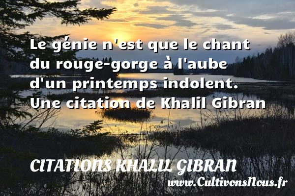 Le génie n’est que le chant du rouge-gorge à l’aube d’un - Citations Khalil Gibran - Citation rouge