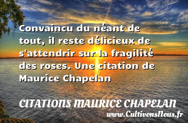 Convaincu du néant de tout, il reste délicieux de - Citations Maurice Chapelan - Citation rose