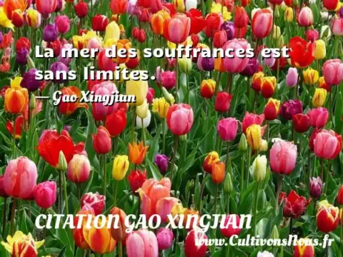 La mer des souffrances est sans limites. - Gao Xingjian CITATION GAO XINGJIAN