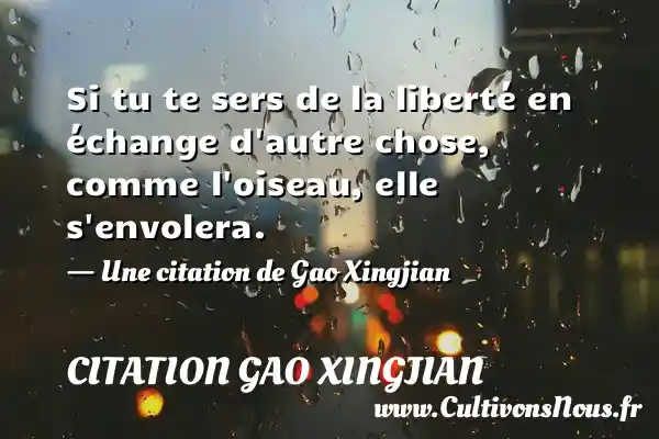 Si tu te sers de la liberté en échange - Citation Gao Xingjian