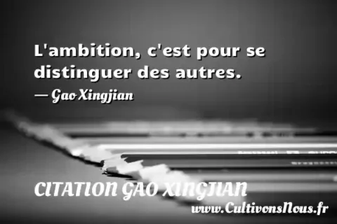 L ambition, c est pour se distinguer des autres. - Gao Xingjian CITATION GAO XINGJIAN