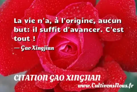 La vie n a, à l origine, aucun but: il suffit d avancer. C est tout ! - Gao Xingjian CITATION GAO XINGJIAN