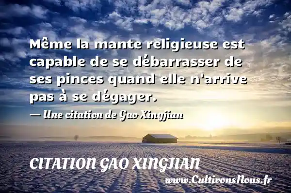 Même la mante religieuse est capable de se débarrasser - Citation Gao Xingjian