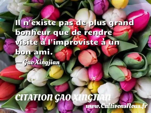 Il n existe pas de plus grand bonheur que de rendre visite à l improviste à un bon ami. - Gao Xingjian CITATION GAO XINGJIAN