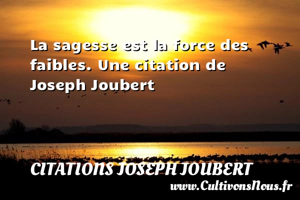 La sagesse est la force des faibles. - Citations Joseph Joubert