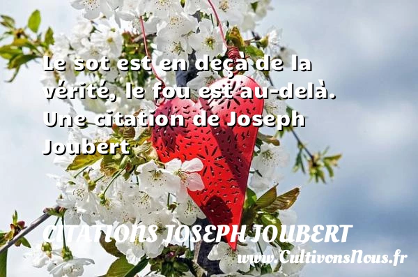 Le sot est en deçà de la vérité, - Citations Joseph Joubert