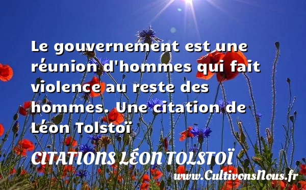 Le gouvernement est une réunion d’hommes qui fait violence - Citations Léon Tolstoï