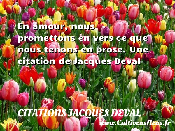 En amour, nous promettons en vers ce que - Citations Jacques Deval - Citation rose