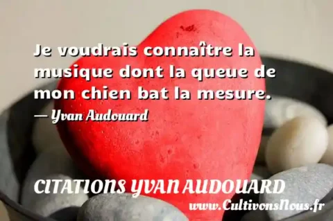 Je voudrais connaître la musique dont la queue de mon chien bat la mesure. - Yvan Audouard CITATIONS YVAN AUDOUARD