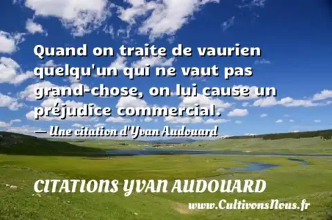 Quand on traite de vaurien quelqu un qui ne vaut pas grand-chose, on lui cause un préjudice commercial. - Une citation d Yvan Audouard CITATIONS YVAN AUDOUARD