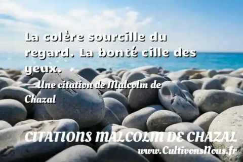 La colère sourcille du regard. La bonté cille des yeux. - Une citation de Malcolm de Chazal CITATIONS MALCOLM DE CHAZAL