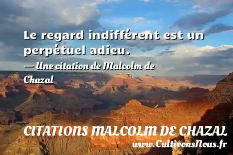 Le regard indifférent est un perpétuel adieu. - Une citation de Malcolm de Chazal CITATIONS MALCOLM DE CHAZAL