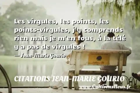 Les virgules, les points, les points-virgules, j y comprends rien mais je m en fous, à la télé y a pas de virgules ! - Jean-Marie Gourio CITATIONS JEAN-MARIE GOURIO