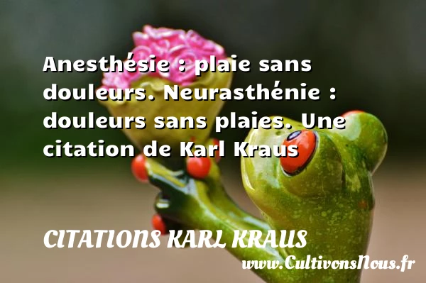 Anesthésie : plaie sans douleurs. Neurasthénie : douleurs sans - Citations Karl Kraus