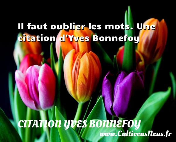 Il faut oublier les mots. - Citation Yves Bonnefoy