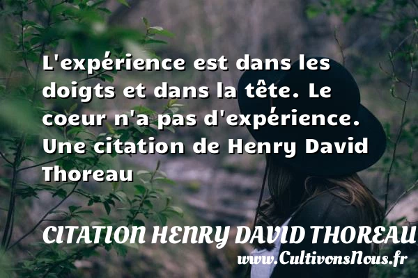 L’expérience est dans les doigts et dans la tête. Le - Citation Henry David Thoreau