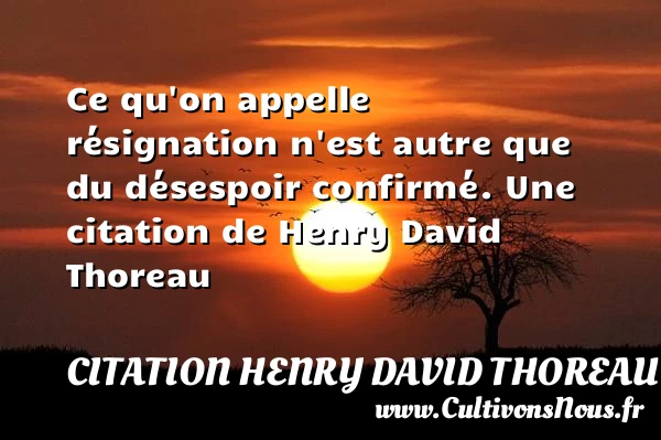 Ce qu’on appelle résignation n’est autre que du - Citation Henry David Thoreau