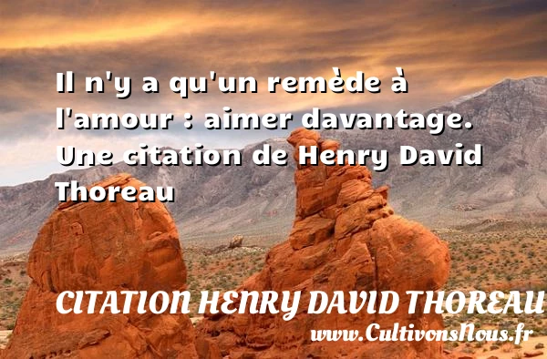 Il n’y a qu’un remède à l’amour : aimer - Citation Henry David Thoreau