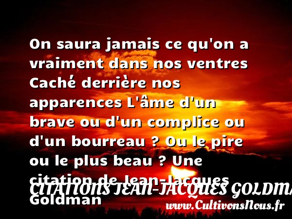 On saura jamais ce qu’on a vraiment dans nos - Citations Jean-Jacques Goldman