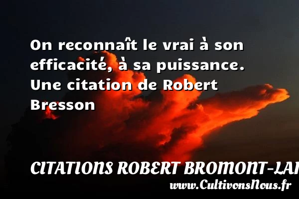 On reconnaît le vrai à son efficacité, à - Citations Robert Bromont-Lamothe dit Bresson