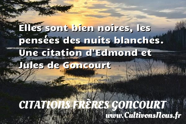 Elles sont bien noires, les pensées des nuits - Citations frères Goncourt