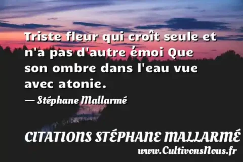 Triste fleur qui croît seule et n a pas d autre émoi Que son ombre dans l eau vue avec atonie. - Stéphane Mallarmé CITATIONS STÉPHANE MALLARMÉ