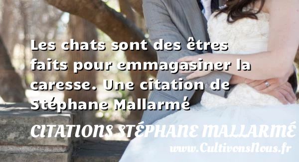 Les chats sont des êtres faits pour emmagasiner la - Citations Stéphane Mallarmé