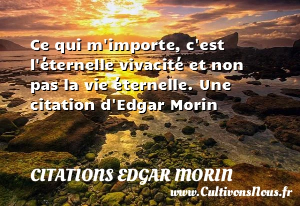 Ce qui m’importe, c’est l’éternelle vivacité et non pas - Citations Edgar Morin