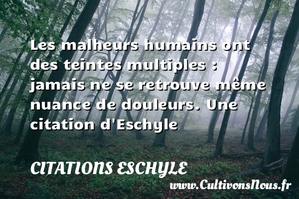 Les malheurs humains ont des teintes multiples : jamais ne se retrouve même nuance - Citations Eschyle