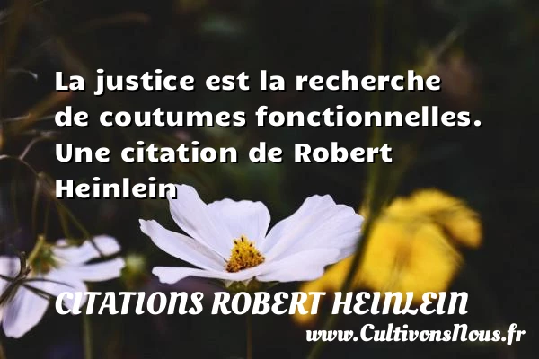 La justice est la recherche de coutumes fonctionnelles. - Citations Robert Heinlein
