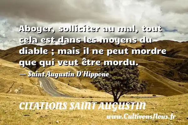 Aboyer, solliciter au mal, tout cela est dans - Citations Saint Augustin