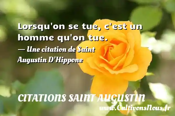 Lorsqu’on se tue, c’est un homme qu’on tue. - Citations Saint Augustin