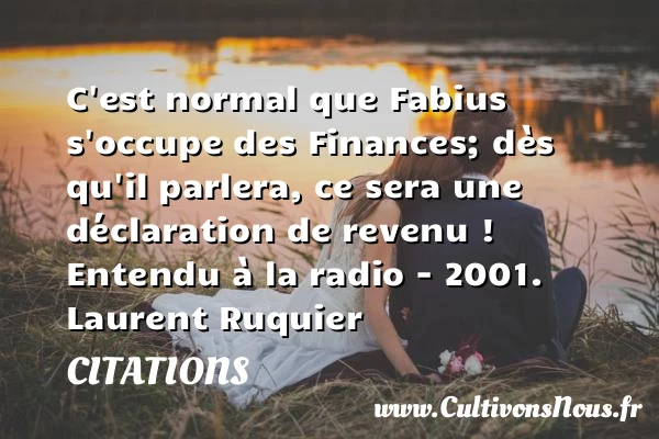 C’est normal que Fabius s’occupe des - Citations - Citations Laurent Ruquier - Citation finances - journaliste
